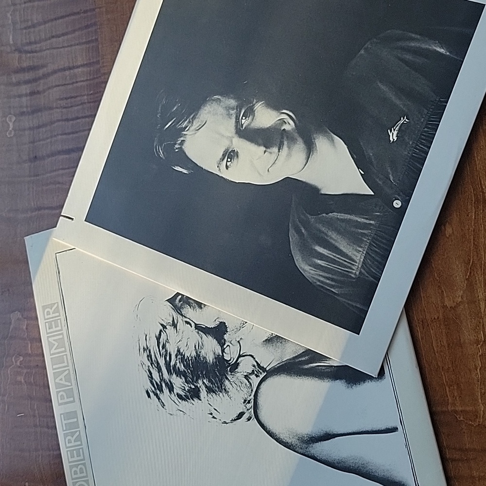 ROBERT PALMER SECRETS LP VINYL RECORD - Picture 3 of 5
